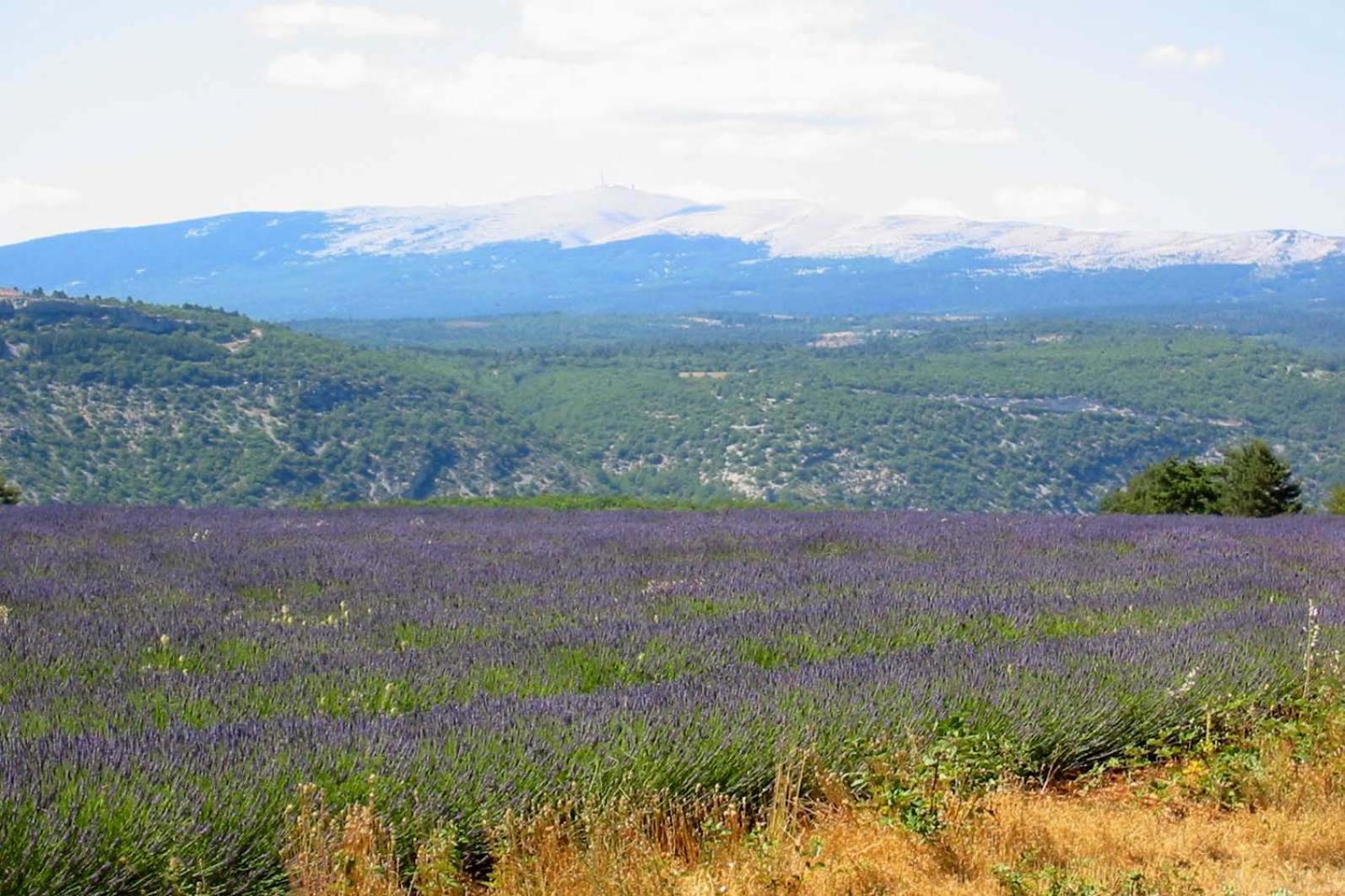 Vila Les Cistes Lioux Exteriér fotografie