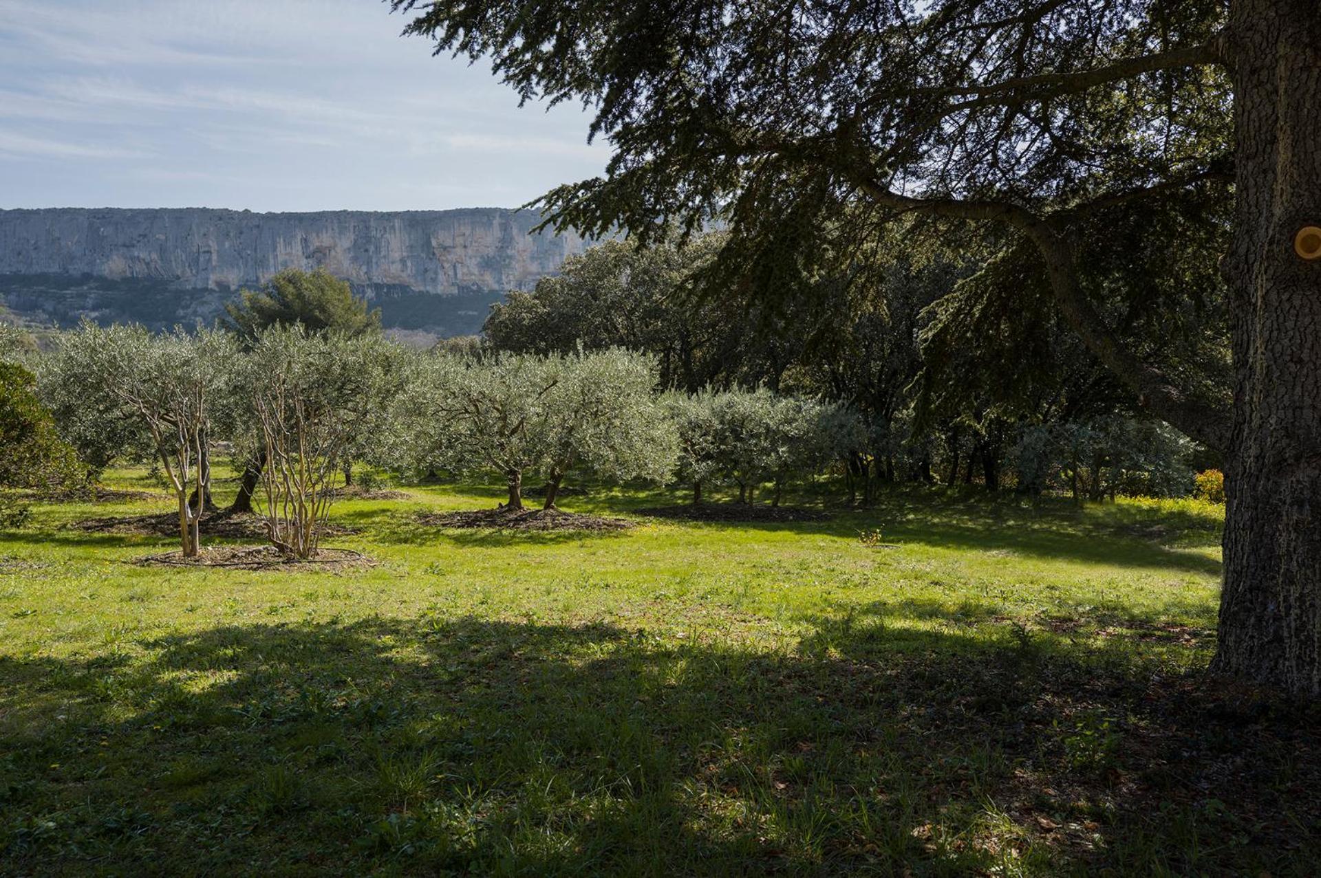 Vila Les Cistes Lioux Exteriér fotografie